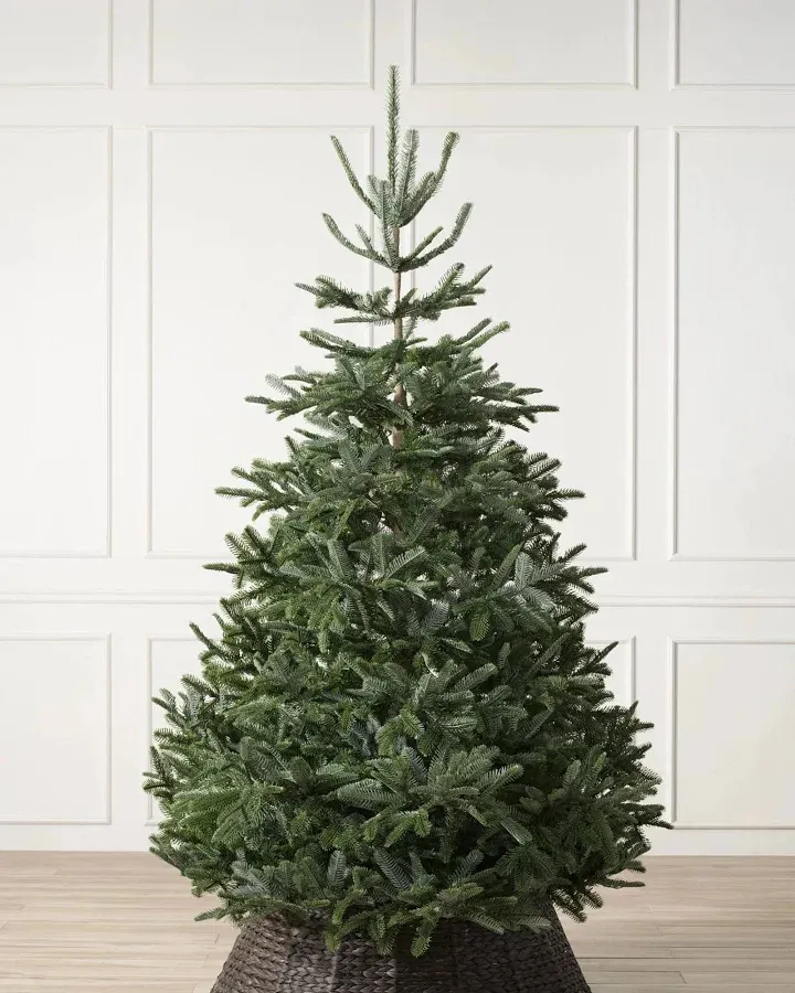 Nordmann Fir Artificial Christmas Tree
